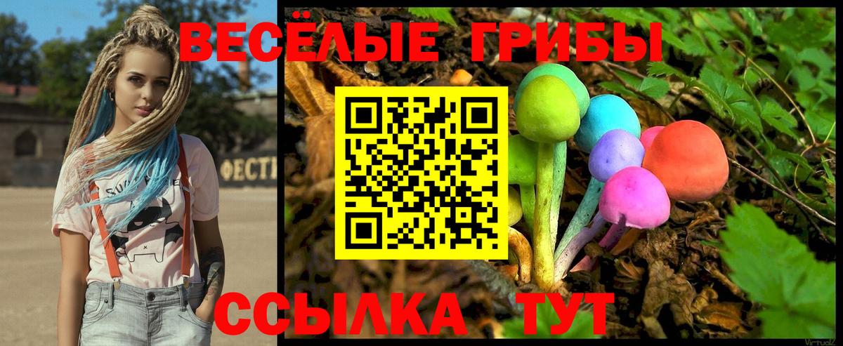 Псилоцибиновые грибы мухоморы Советский